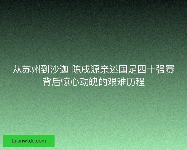 从苏州到沙迦 陈戌源亲述国足四十强赛背后惊心动魄的艰难历程